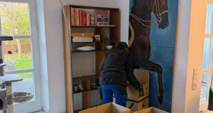 Ein Umzugshelfer packt in einem hellen Wohnzimmer Bücher aus einem Holzregal in Umzugskartons, an der Wand hängt ein großes Pferdebild.