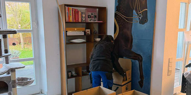 Ein Umzugshelfer packt in einem hellen Wohnzimmer Bücher aus einem Holzregal in Umzugskartons, an der Wand hängt ein großes Pferdebild.